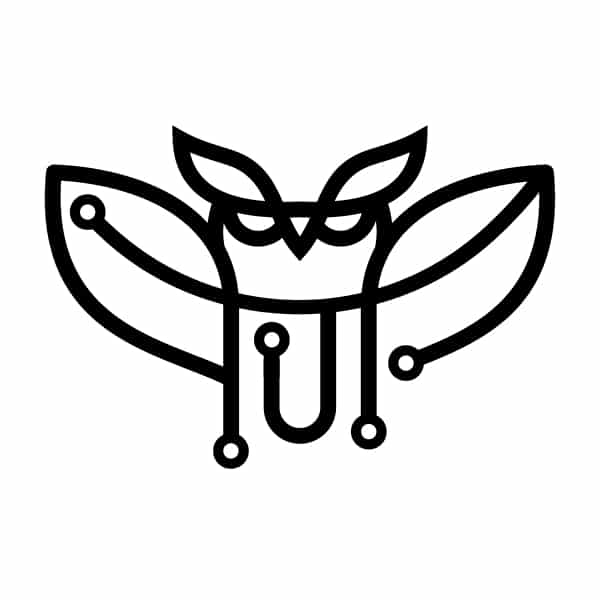 lifetime-membership-embedded-artistry